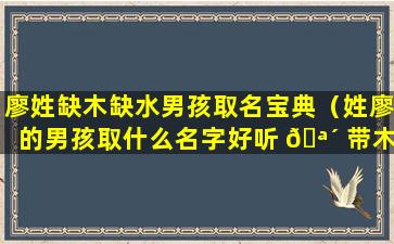 廖姓缺木缺水男孩取名宝典（姓廖的男孩取什么名字好听 🪴 带木字旁的）